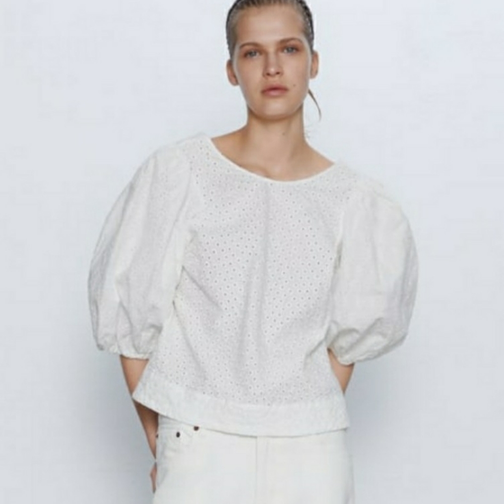 ZARA Embroidered Eyelet Puff Sleeve Blouse